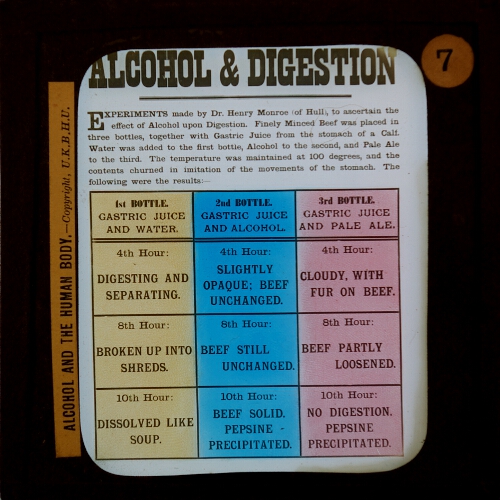 Alcohol and Digestion
