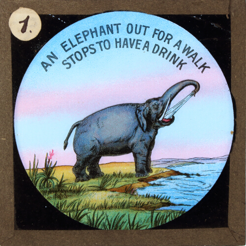 An elephant out for a walk stops to have a drink– alternative version