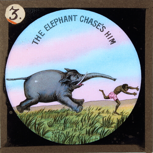The elephant chase's him