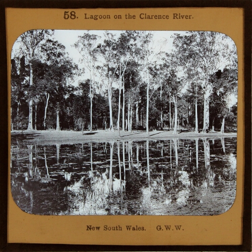 Lagoon on the Clarence River