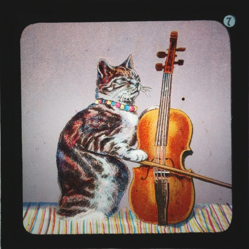 Slide showing cat playing violin