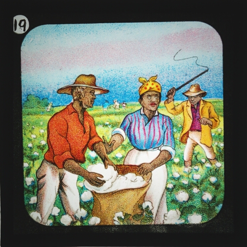 Uncle Tom in the Cotton Fields