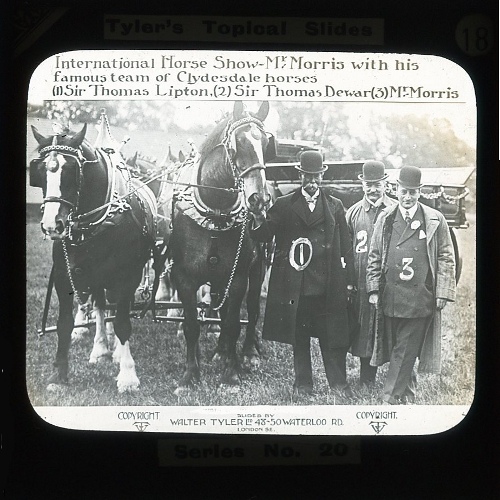 International Horse Show -- Mr Morris with his famous team of Clydesdale horses. (1) Sir Thomas Lipton, (2) Sir Thomas Dewar (3) Mr Morris