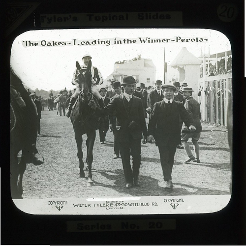 The Oakes -- Leading in the Winner -- Perola