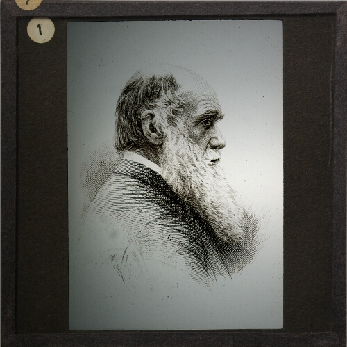 Charles Darwin– alternative version