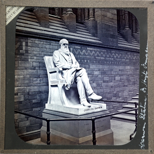 Darwin Statue, Natural History Museum
