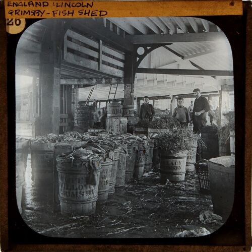 Grimsby, In the Fish Packing Sheds– primary version