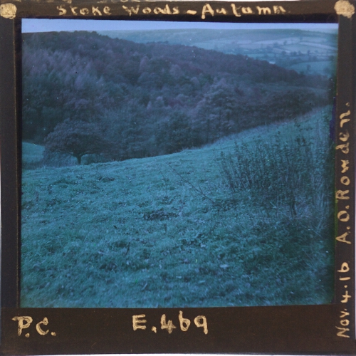 Stoke Woods -- Autumn – secondary view of slide