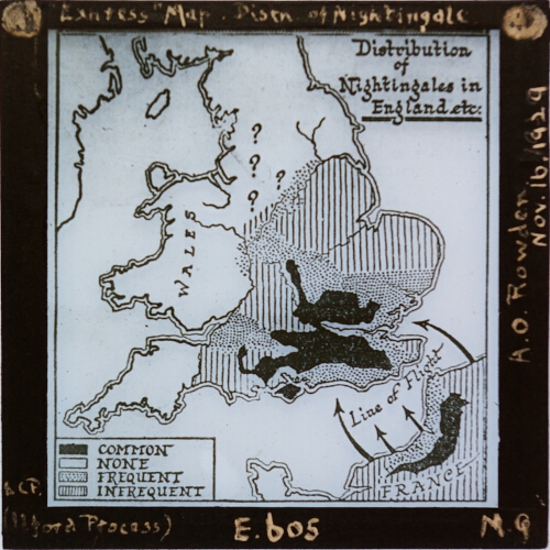 'Express' Map -- Distribution of Nightingale