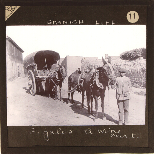 Cigales, A Wine Cart