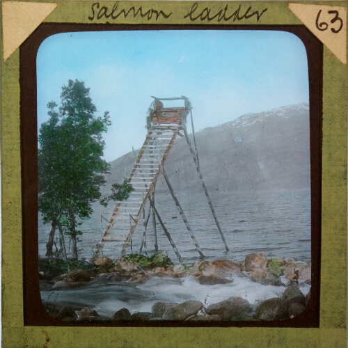 Salmon ladder