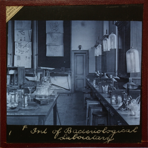 Interior of a Bacteriological Laboratory (King's College, London)