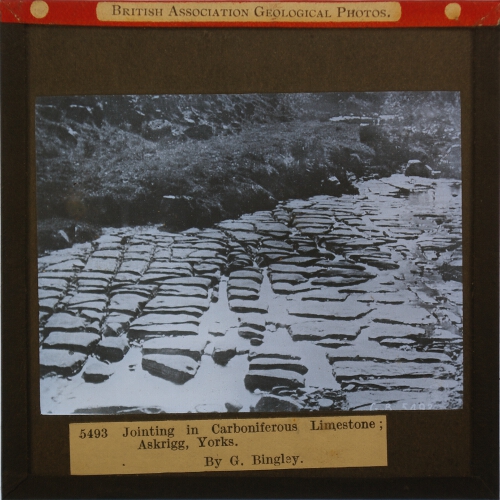 Jointing in Carboniferous Limestone; Askrigg, Yorks.