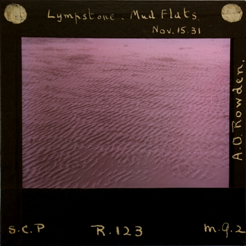 Lympstone, Mud Flats