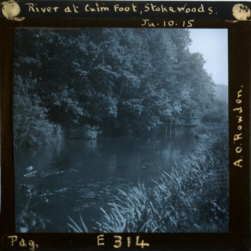 River at Culm Foot, Stoke Woods