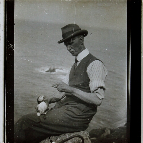 A.H. Rousham holding puffin