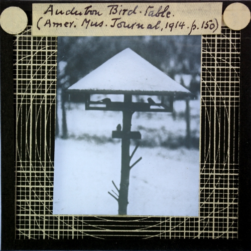 Anderton Bird Table