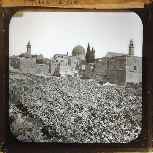 Jerusalem. Mosque of Omar &ndash; secondary view of slide