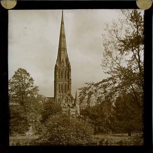 Salisbury Cathedral from Palace Grounds