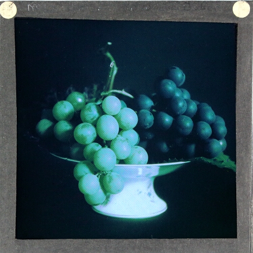 Grapes – secondary view of slide