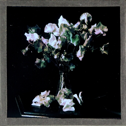 Colour photograph of flowers in vase – secondary view of slide