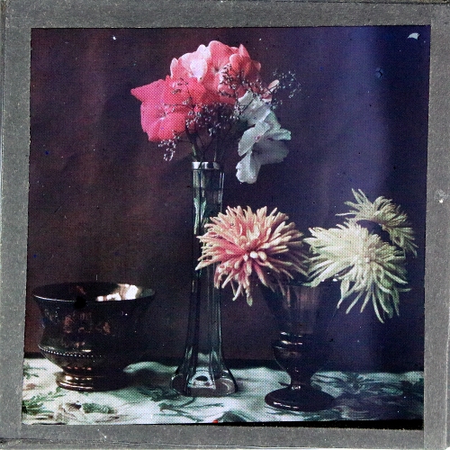Colour photograph of flowers in vases