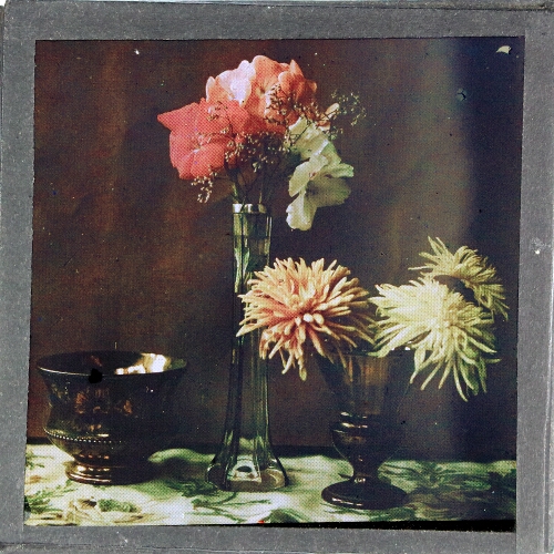 Colour photograph of flowers in vases – secondary view of slide