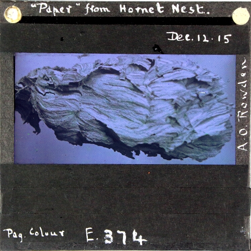 'Paper' from Hornet Nest – secondary view of slide