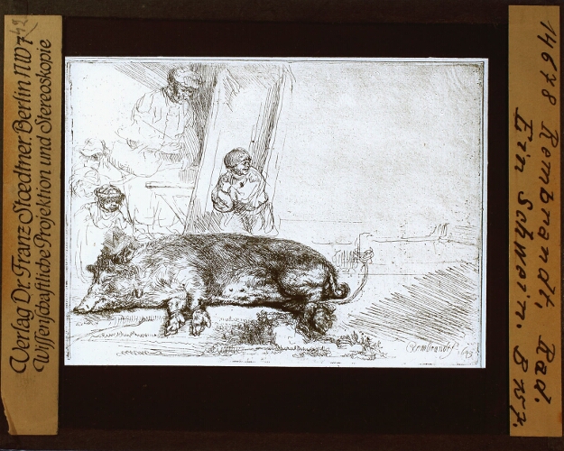 Rembrandt, Rad. Ein Schwein