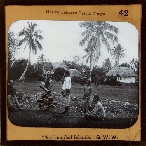 Native Tobacco Patch, Tonga