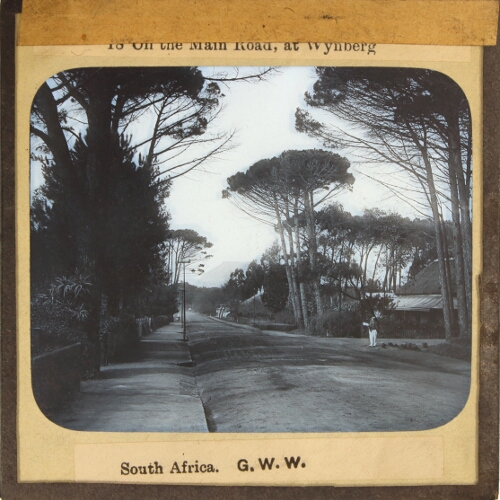 On the Main Road, at Wynberg