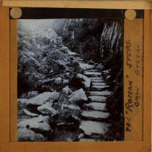 The 'Roman' Steps, Cwm Byghan, near Harlech