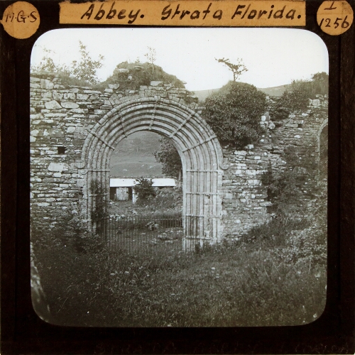 Abbey, Strata Florida