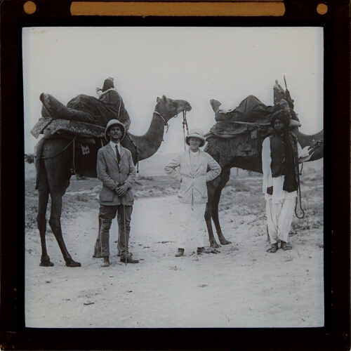 Three men standing in front of two saddled camels