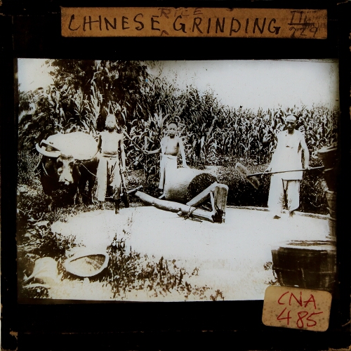 Chinese rice grinding
