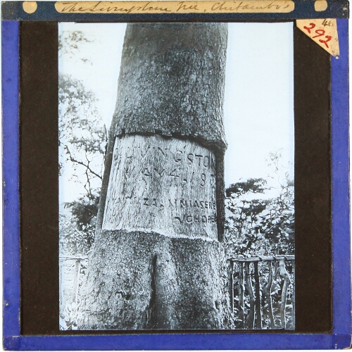 The Livingstone Tree, Chitarubu's