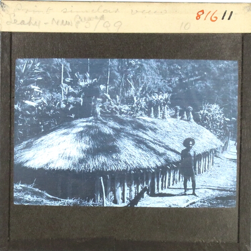 Print similar view. Leahy New Guinea 
