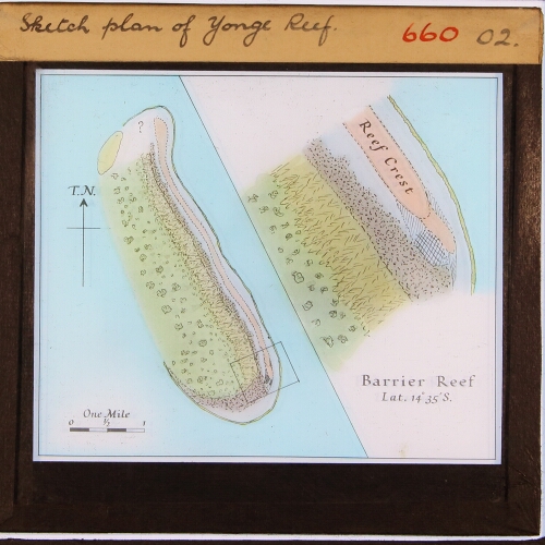 Sketch plan of Yonge Reef.