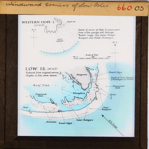 Windward corners of Low Isles.