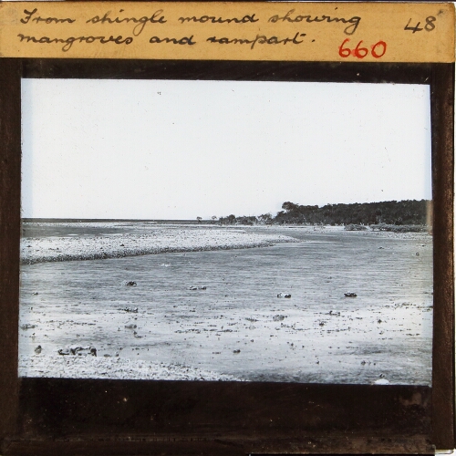 From shingle mound showing mangroves and rampart