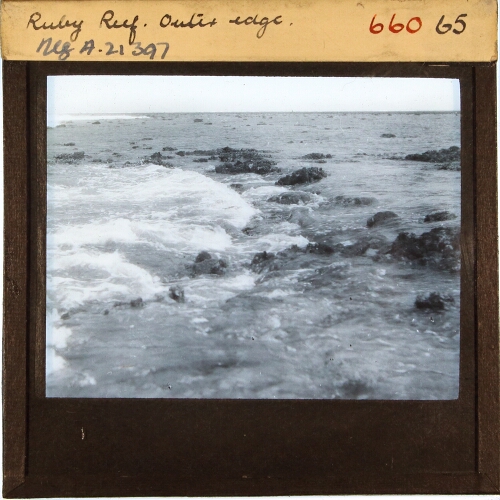 Ruby Reef, outer edge