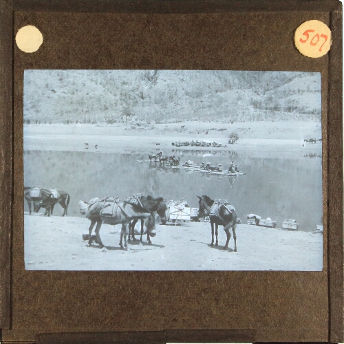 Loaded horses waiting for ferry raft across river or lake