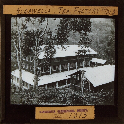 Nugawella Tea Factory