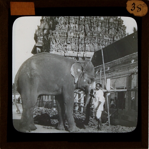 Man with elephant in front of temple