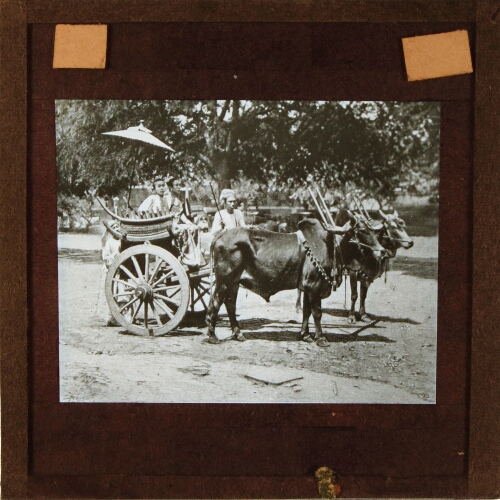 Two women riding in cart drawn by two oxen