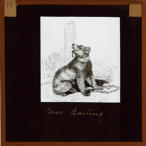 Bear Baiting