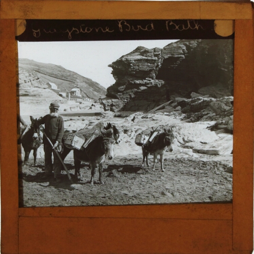 Man with loaded donkeys at beach by cliffs