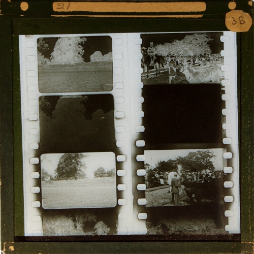 Two sequences of film frames