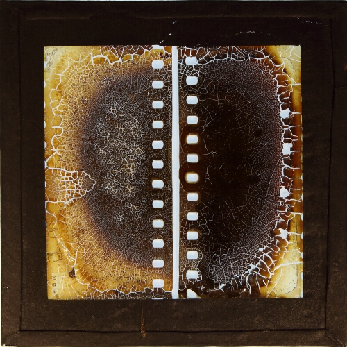 Two strips of decayed cinematograph film