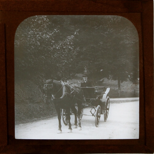Man riding in horse-drawn carriage